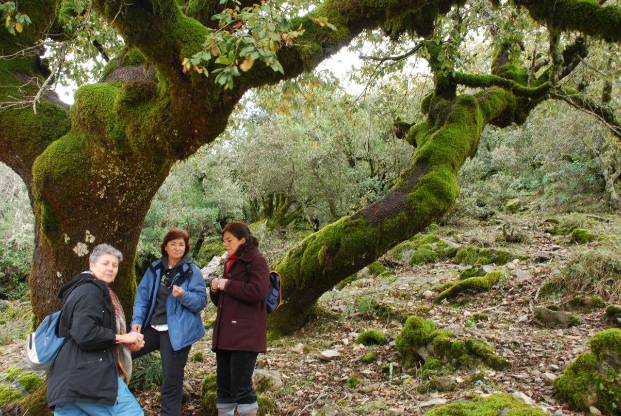 Auberge Dardara Derdara Esterno foto